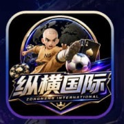 纵横国际
